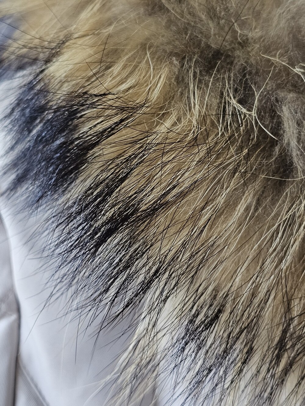Calvin Klein Duck Down Puffer Jacket XS Ivory Genuine Raccoon Fur Trim EUC - Picture 5 of 12